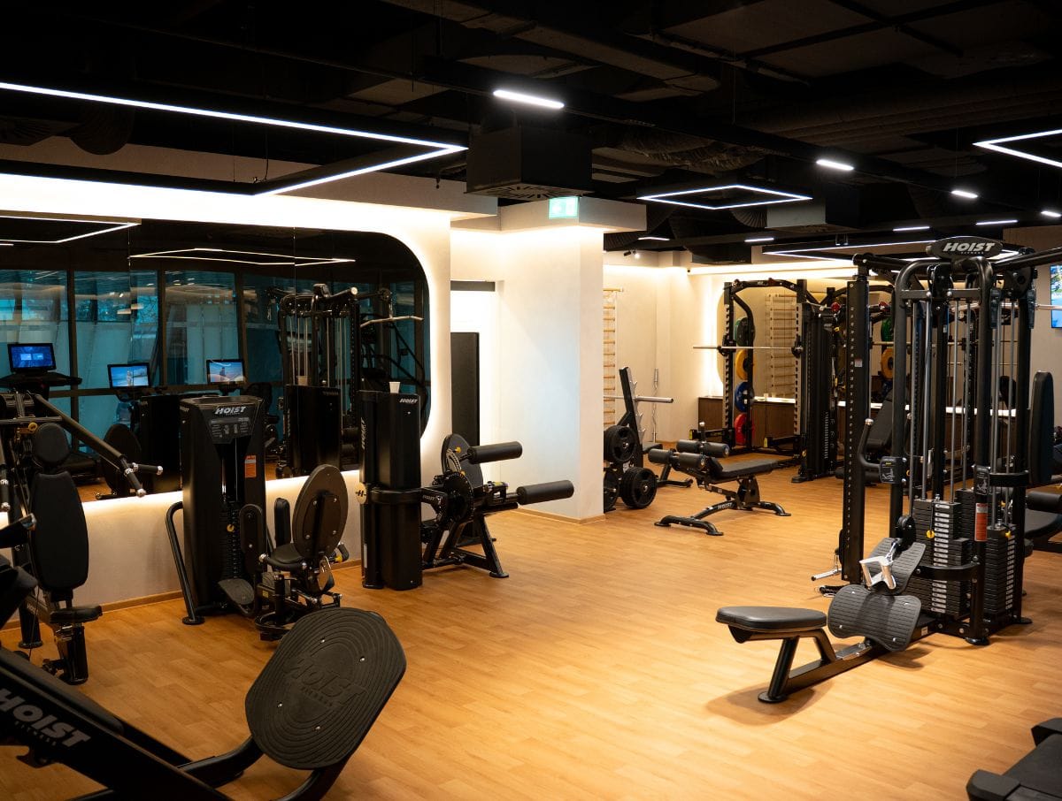mvfitlab (2)