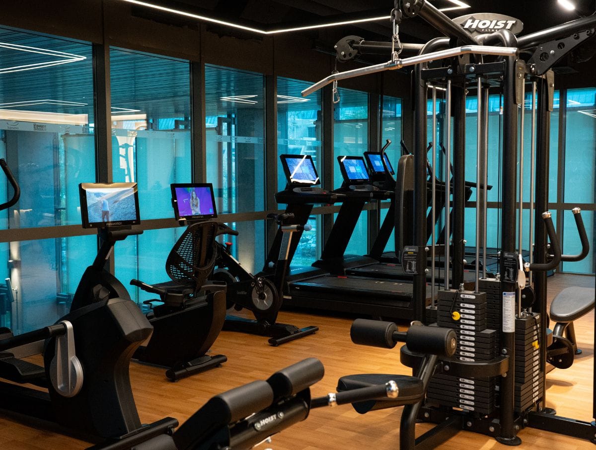 mvfitlab (3)