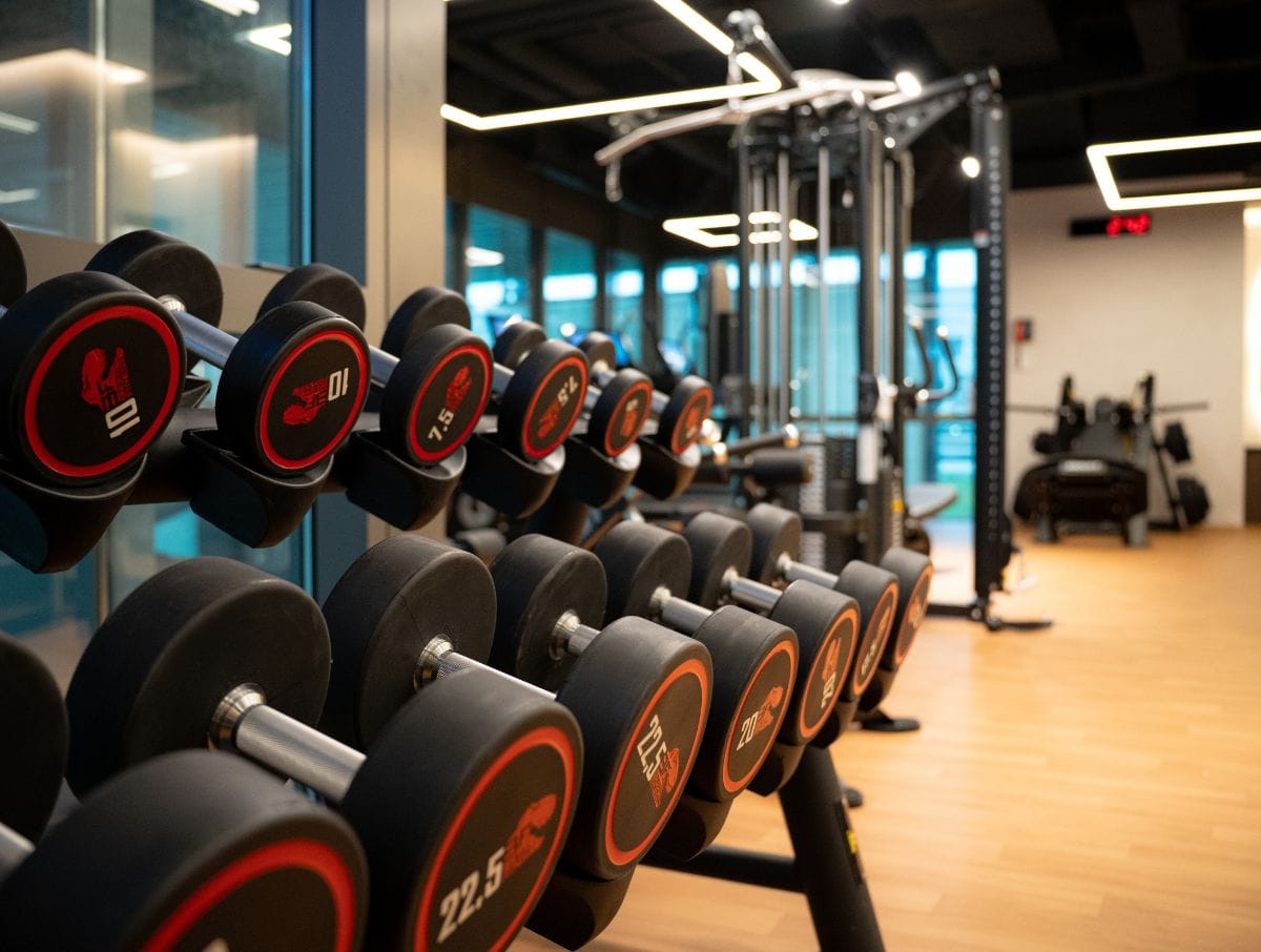 mvfitlab (4)