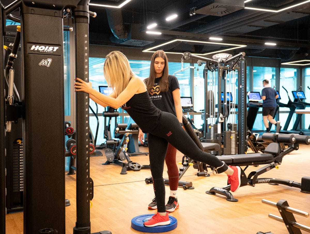 mvfitlab (5)